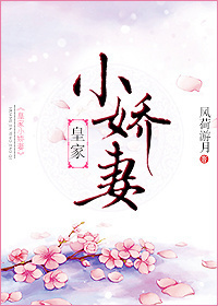 撩夫记
